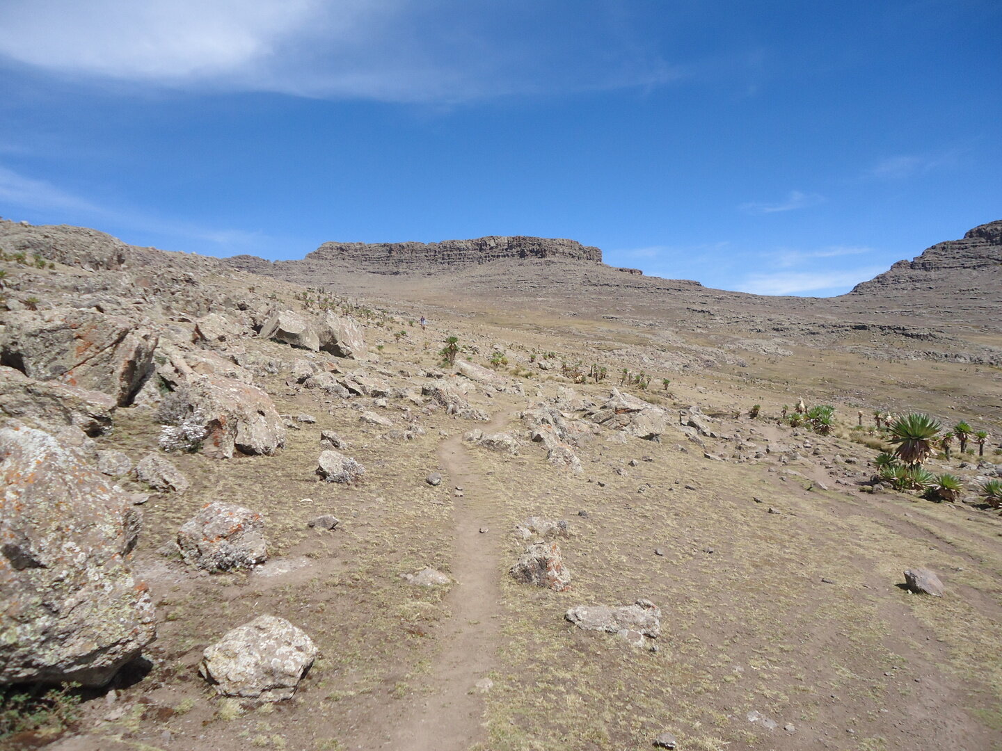 Hiking near Rasdashen Summit